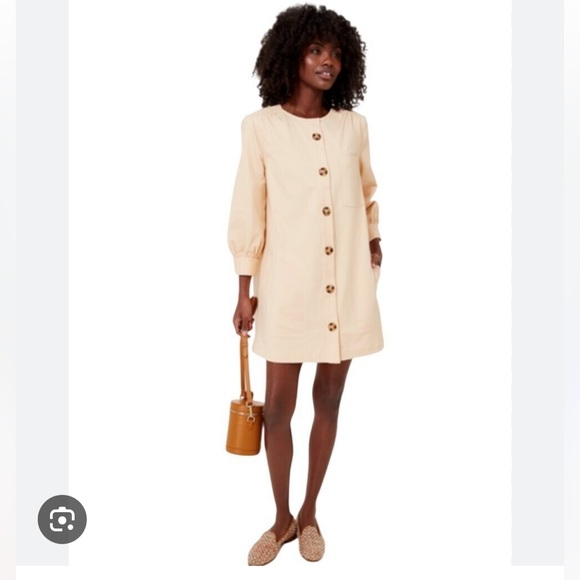 Tuckernuck Dresses & Skirts - Tuckernuck Stone Blake Dress Shift Tortoiseshell Buttons Mod Mini